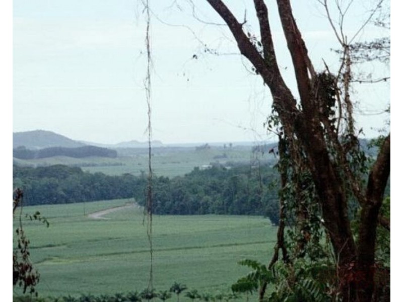 376 Finlayvale Road, Mossman QLD 4873