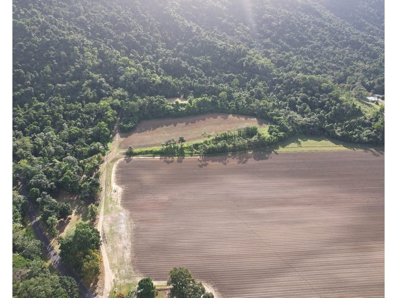 376 Finlayvale Road, Mossman QLD 4873