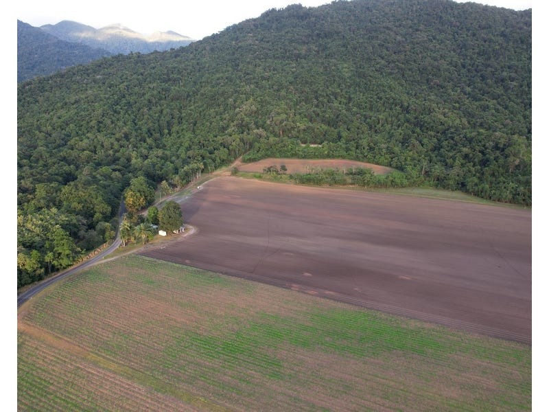 376 Finlayvale Road, Mossman QLD 4873