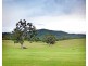 Samford Valley QLD 4520