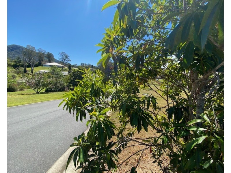 Samford Valley QLD 4520