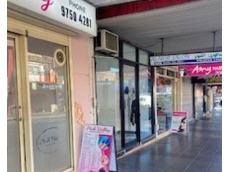 271 The Boulevarde, Punchbowl NSW 2196