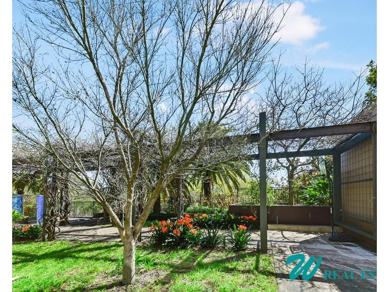 17 Septimus St, Chatswood NSW 2067