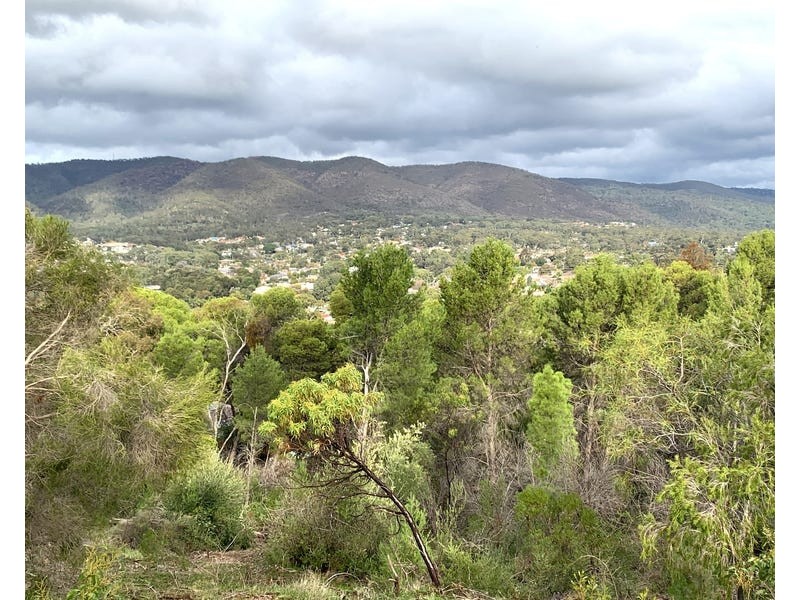 49 Valley View Drive, Highbury SA 5089