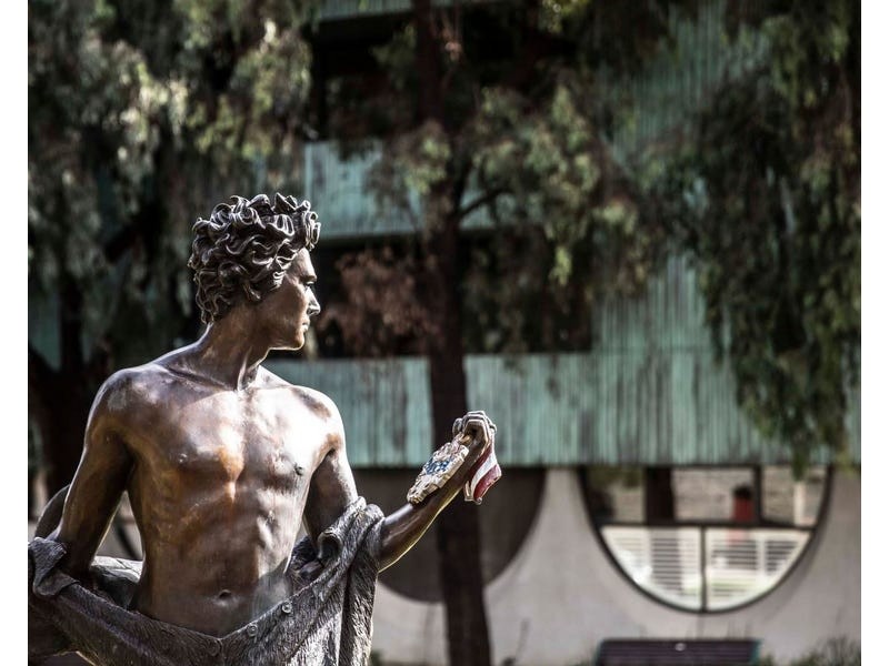 2/219 Napier Street, Fitzroy VIC 3065