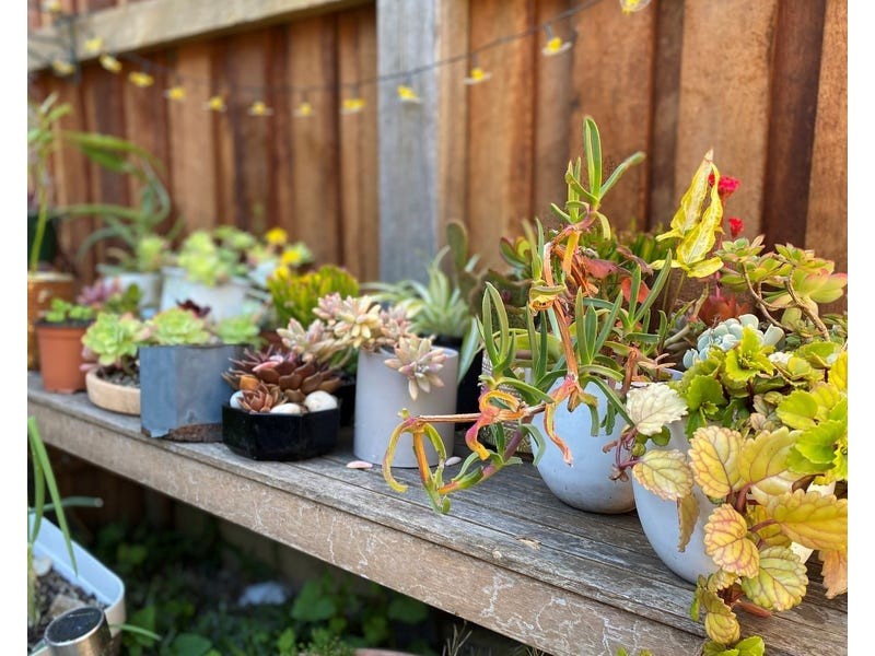 212 Bridge Road, Glebe NSW 2037