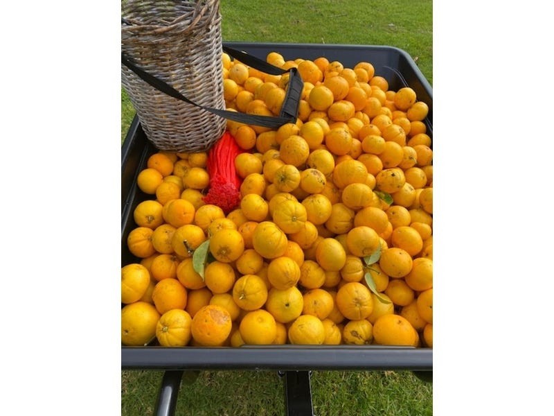 70 Frenchman Bay Road, Mount Elphinstone WA 6330