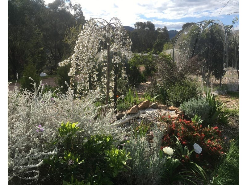13 Trout Stream Way, Macs Cove VIC 3723
