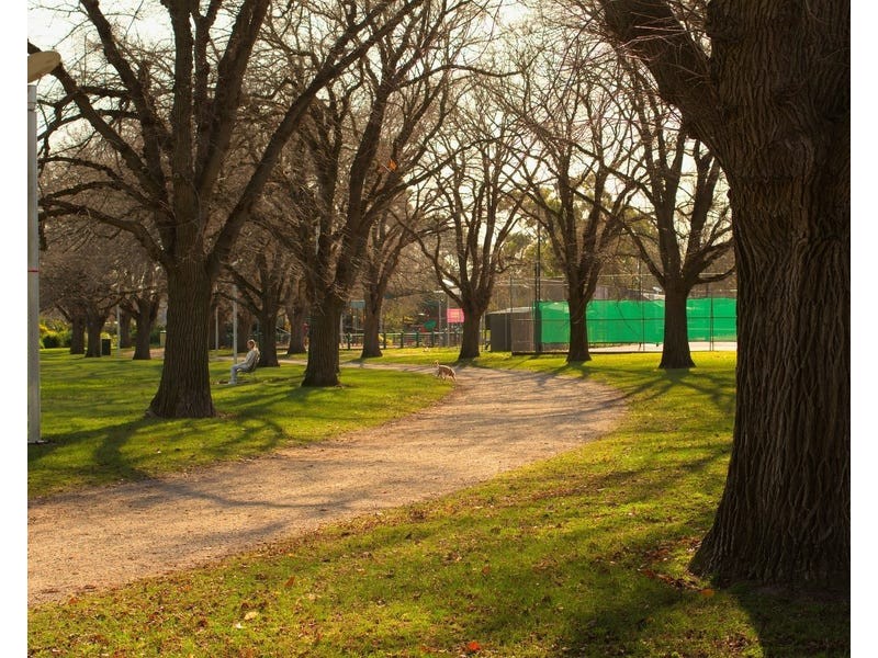 37 Macgregor St, Malvern East VIC 3145