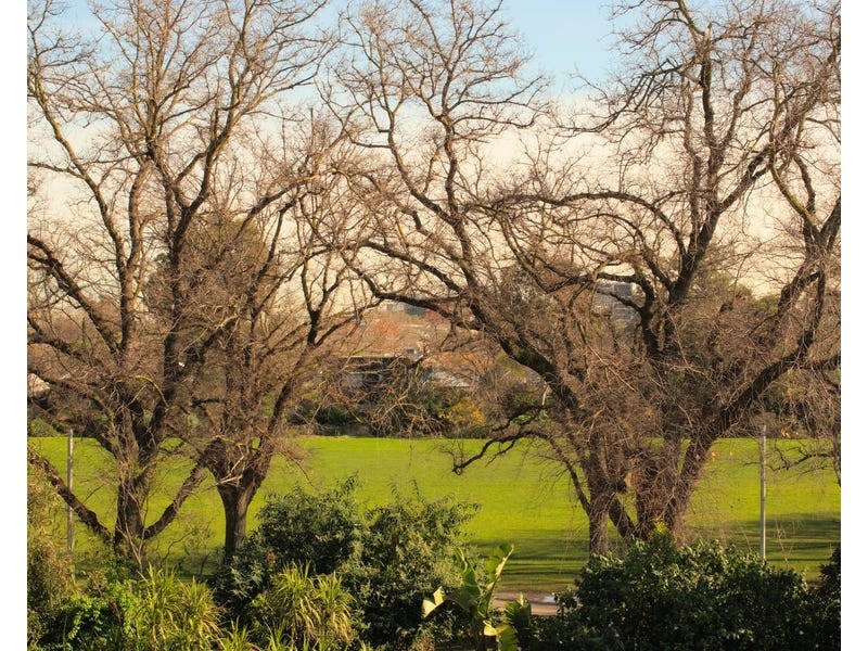 37 Macgregor St, Malvern East VIC 3145