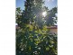 26 Nesbit road, Greenfields WA 6210