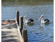 26 Nesbit road, Greenfields WA 6210