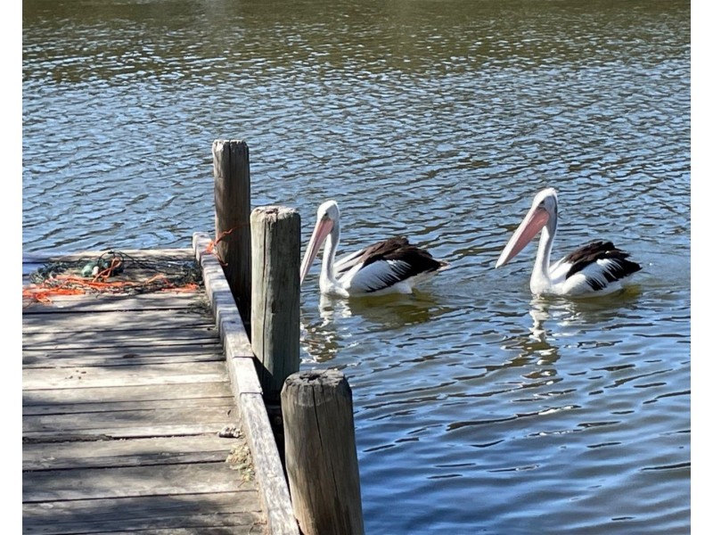 26 Nesbit road, Greenfields WA 6210