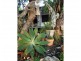 Lot 199 The Esplanade, Reno Bay, Cape Upstart, Guthalungra QLD 4805