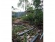 Lot 199 The Esplanade, Reno Bay, Cape Upstart, Guthalungra QLD 4805