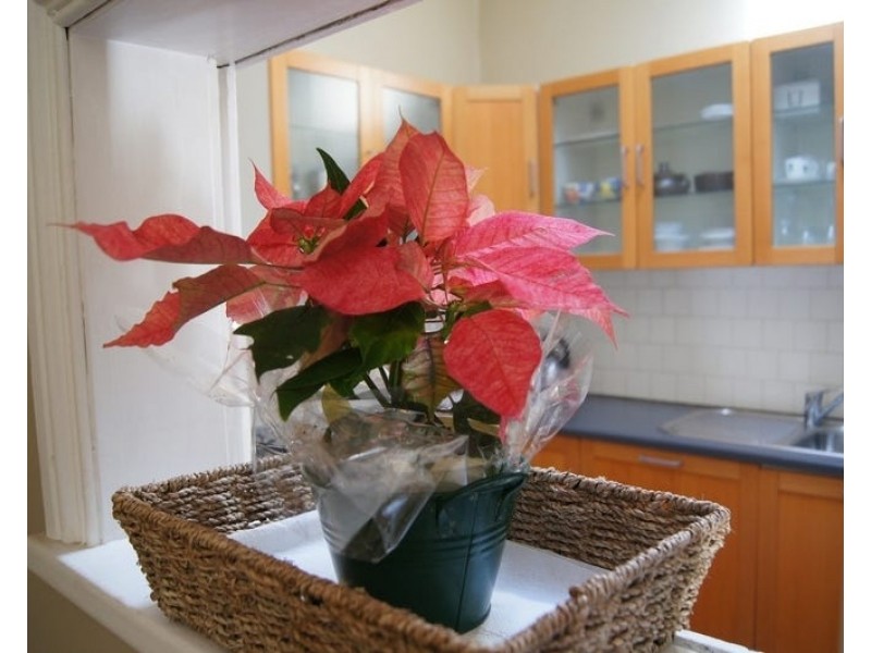 2/92 Salisbury Street, Subiaco WA 6008