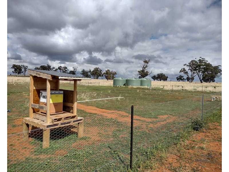 Burrows Road, Woodstock On Loddon VIC 3551