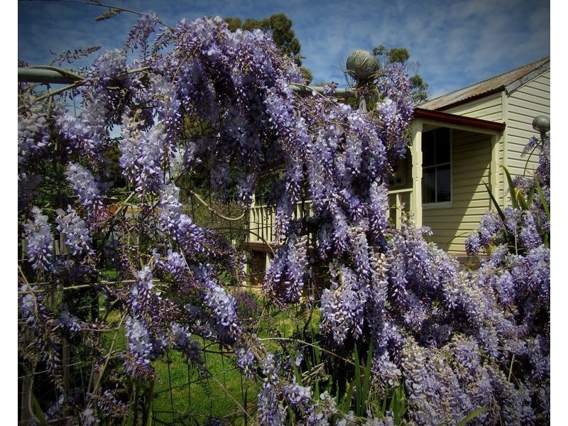 7 Thomas Street, Ironbark VIC 3550