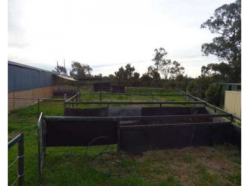 6 racecourse road, Cessnock NSW 2325