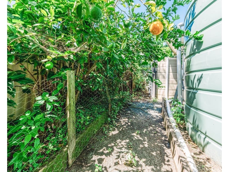 19 Pinemount Crescent, Oxenford QLD 4210