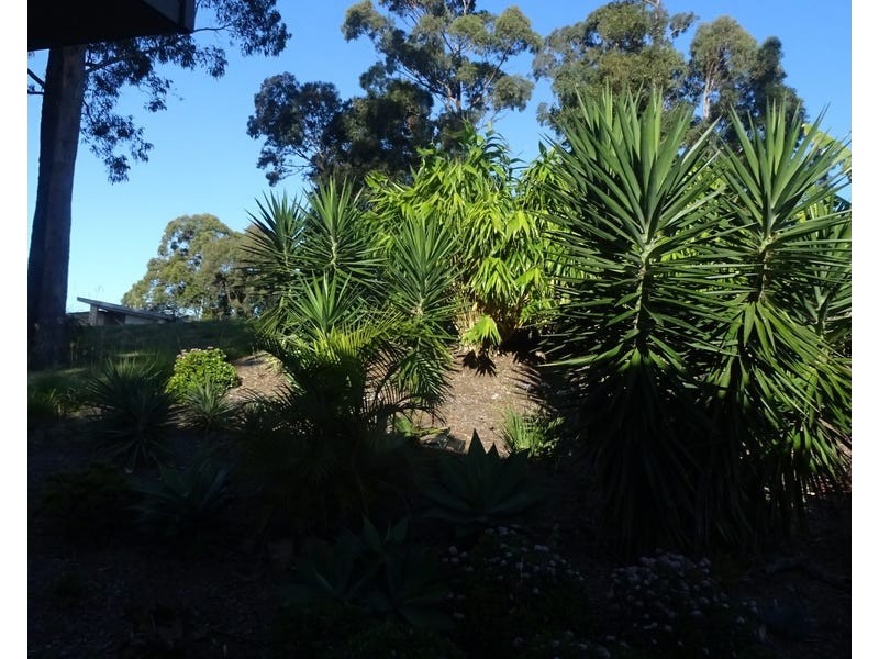 46 hilltop parkway, Tallwoods Village NSW 2430