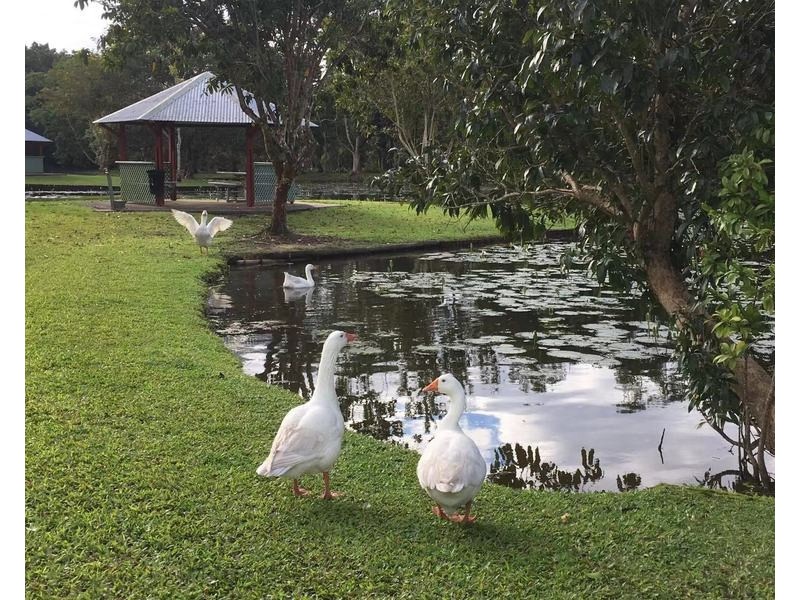 Innisfail Estate QLD 4860