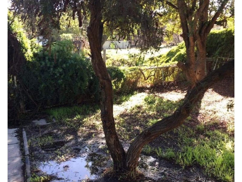 51 SCADDAN STREET, Kukerin WA 6352