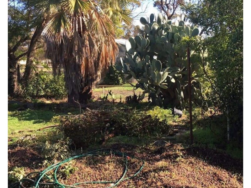 51 SCADDAN STREET, Kukerin WA 6352