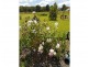 33 MOONLIGHT CCT, Gloucester NSW 2422
