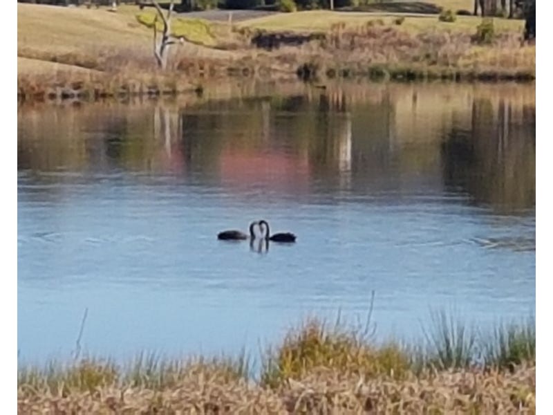 33 MOONLIGHT CCT, Gloucester NSW 2422