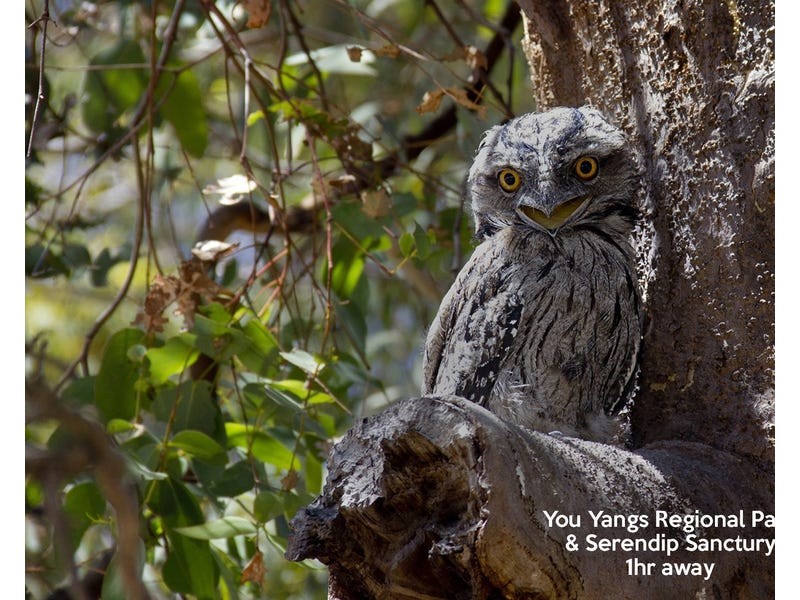 18 Half Moon Crescent, Indented Head VIC 3223
