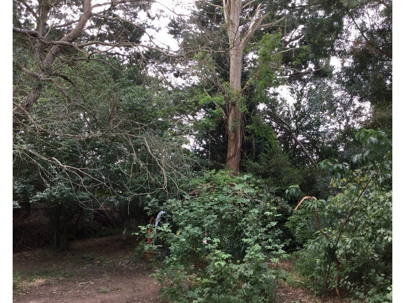 64 Park Rd, Bowral NSW 2576