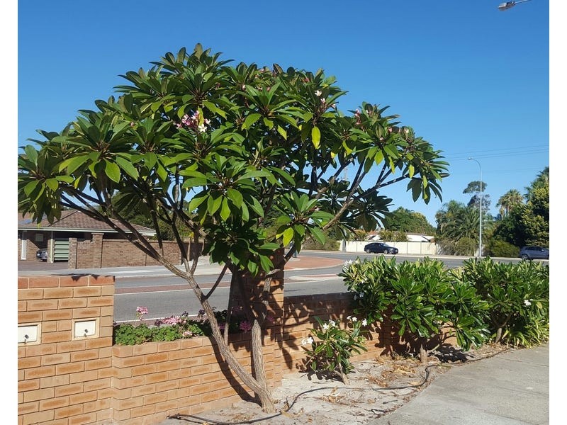 1 Wheatley Drive, Bull Creek WA 6149