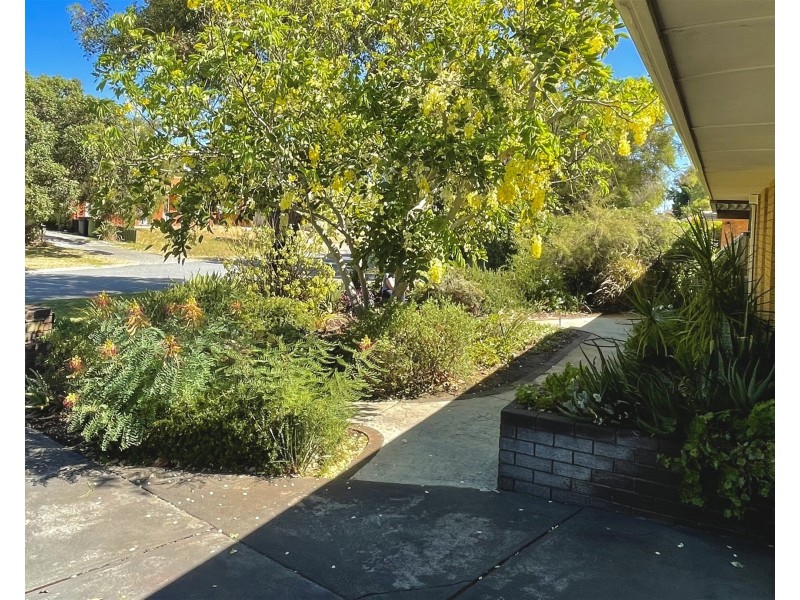 16 Webb Street, Gosnells WA 6110