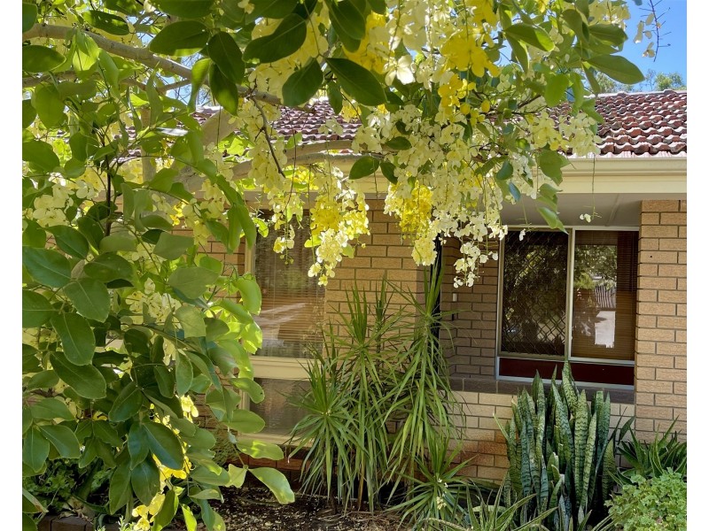 16 Webb Street, Gosnells WA 6110