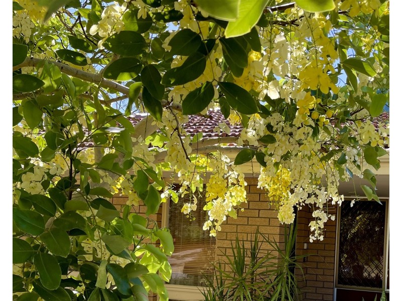 16 Webb Street, Gosnells WA 6110