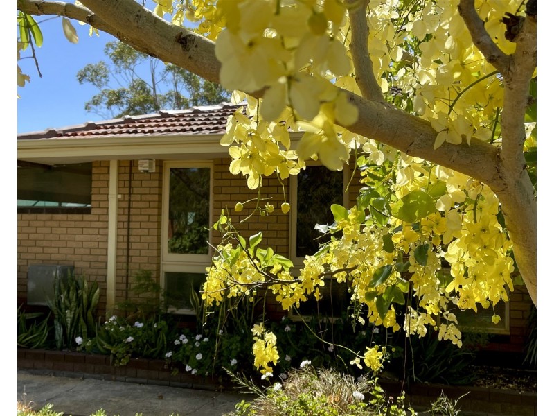 16 Webb Street, Gosnells WA 6110