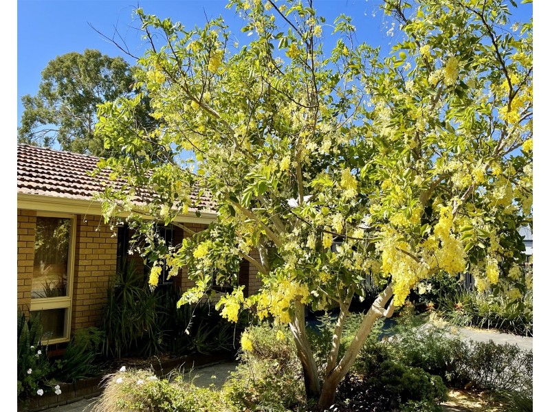 16 Webb Street, Gosnells WA 6110