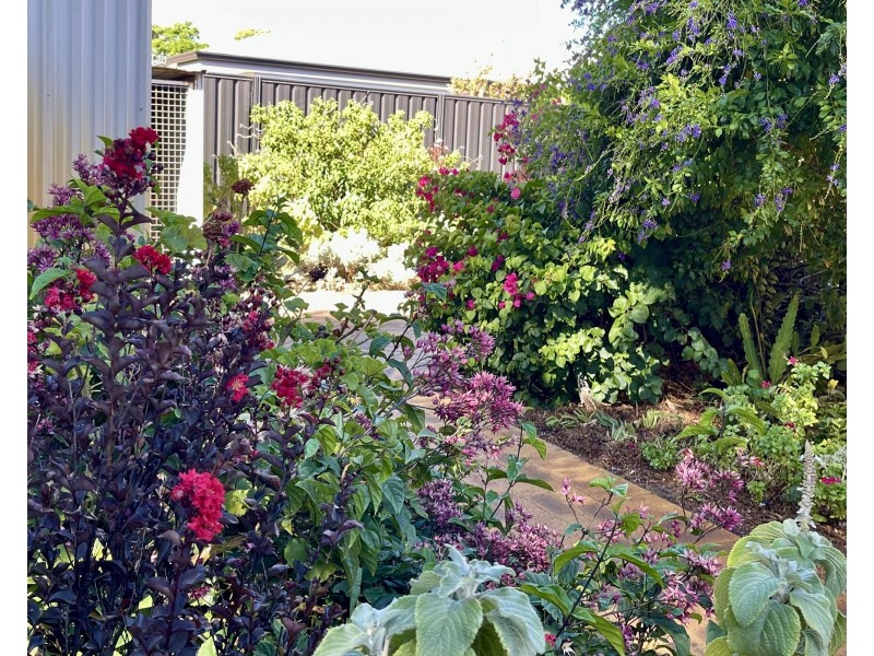 16 Webb Street, Gosnells WA 6110