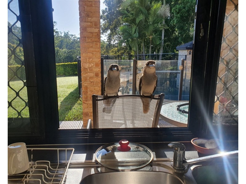 122  FAIRVIEW DRIVE, Willow Vale QLD 4209