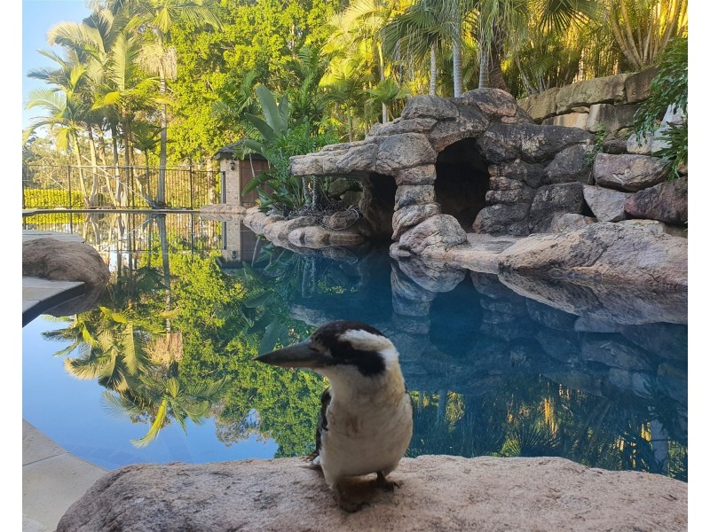 122  FAIRVIEW DRIVE, Willow Vale QLD 4209