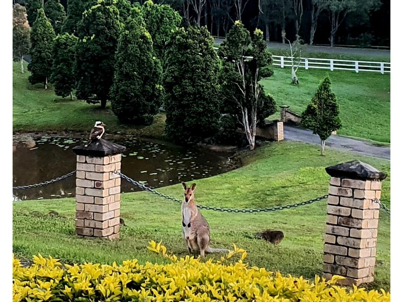 122  FAIRVIEW DRIVE, Willow Vale QLD 4209