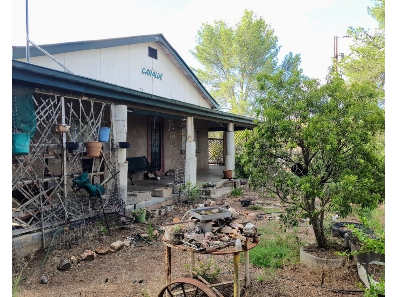 2147 Balumbah-Kinnard Road, Waddikee SA 5640