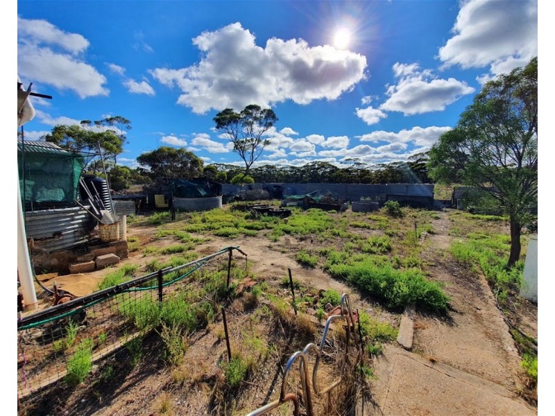 2147 Balumbah-Kinnard Road, Waddikee SA 5640
