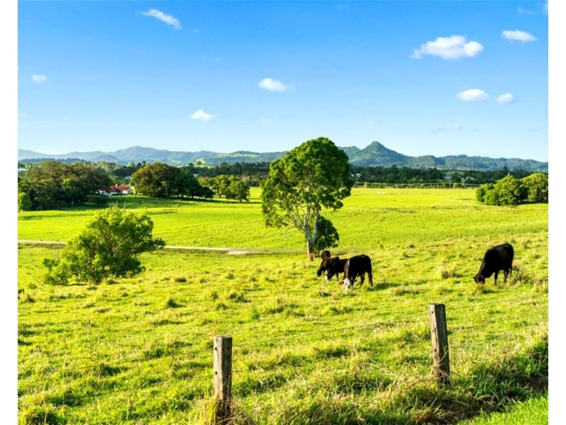 45 Myocum Ridge Road, Myocum NSW 2481