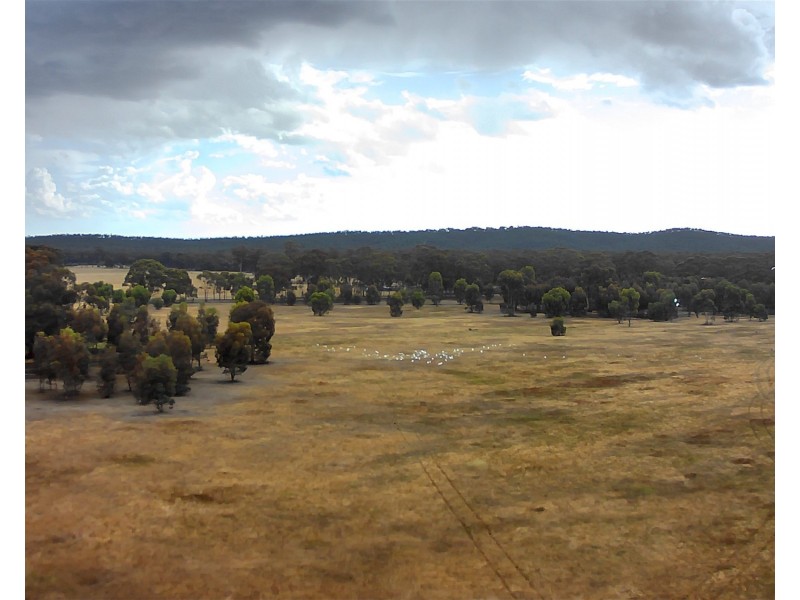 164 Mount View Rd, Goldsborough VIC 3472