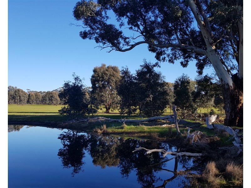 164 Mount View Rd, Goldsborough VIC 3472