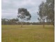 164 Mount View Rd, Goldsborough VIC 3472