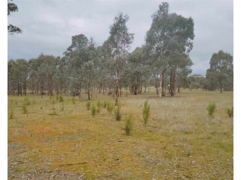 164 Mount View Rd, Goldsborough VIC 3472