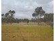 164 Mount View Rd, Goldsborough VIC 3472